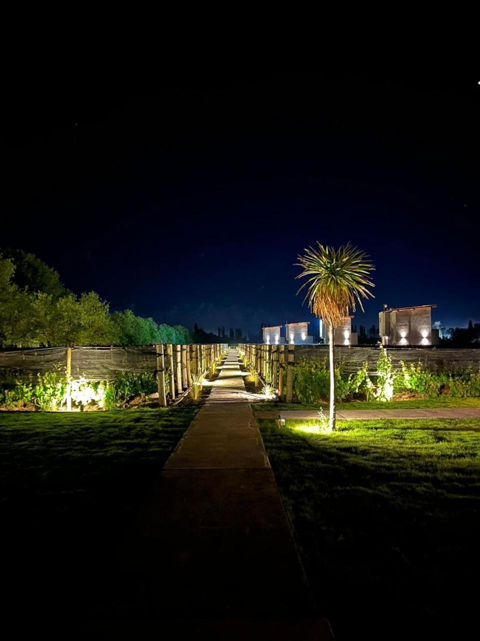 Agrelo Vines Lodge Kültér fotó