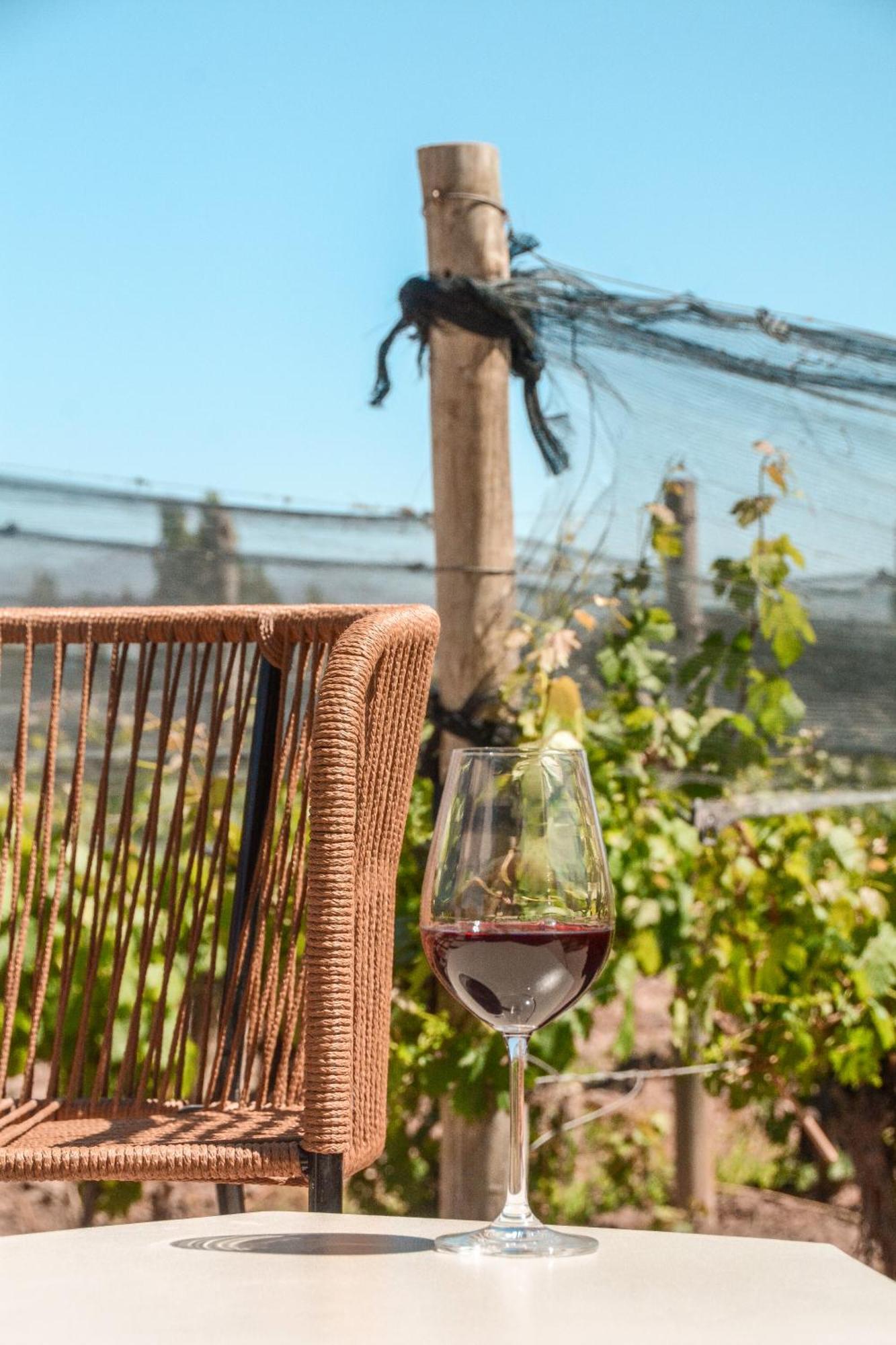 Agrelo Vines Lodge Kültér fotó