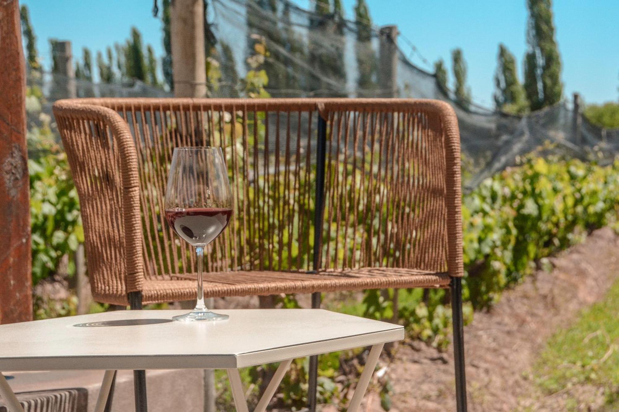 Agrelo Vines Lodge Kültér fotó