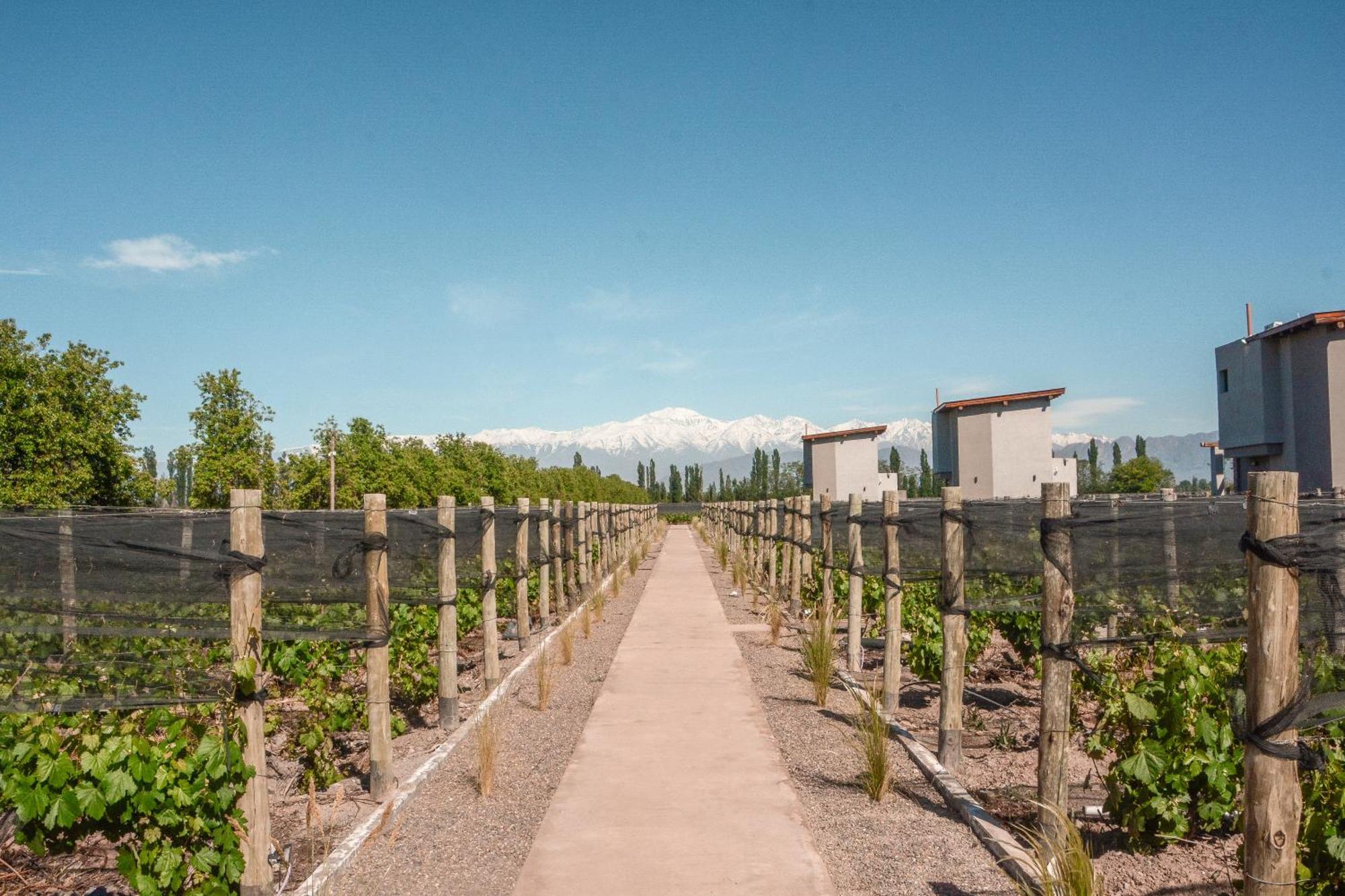 Agrelo Vines Lodge Kültér fotó