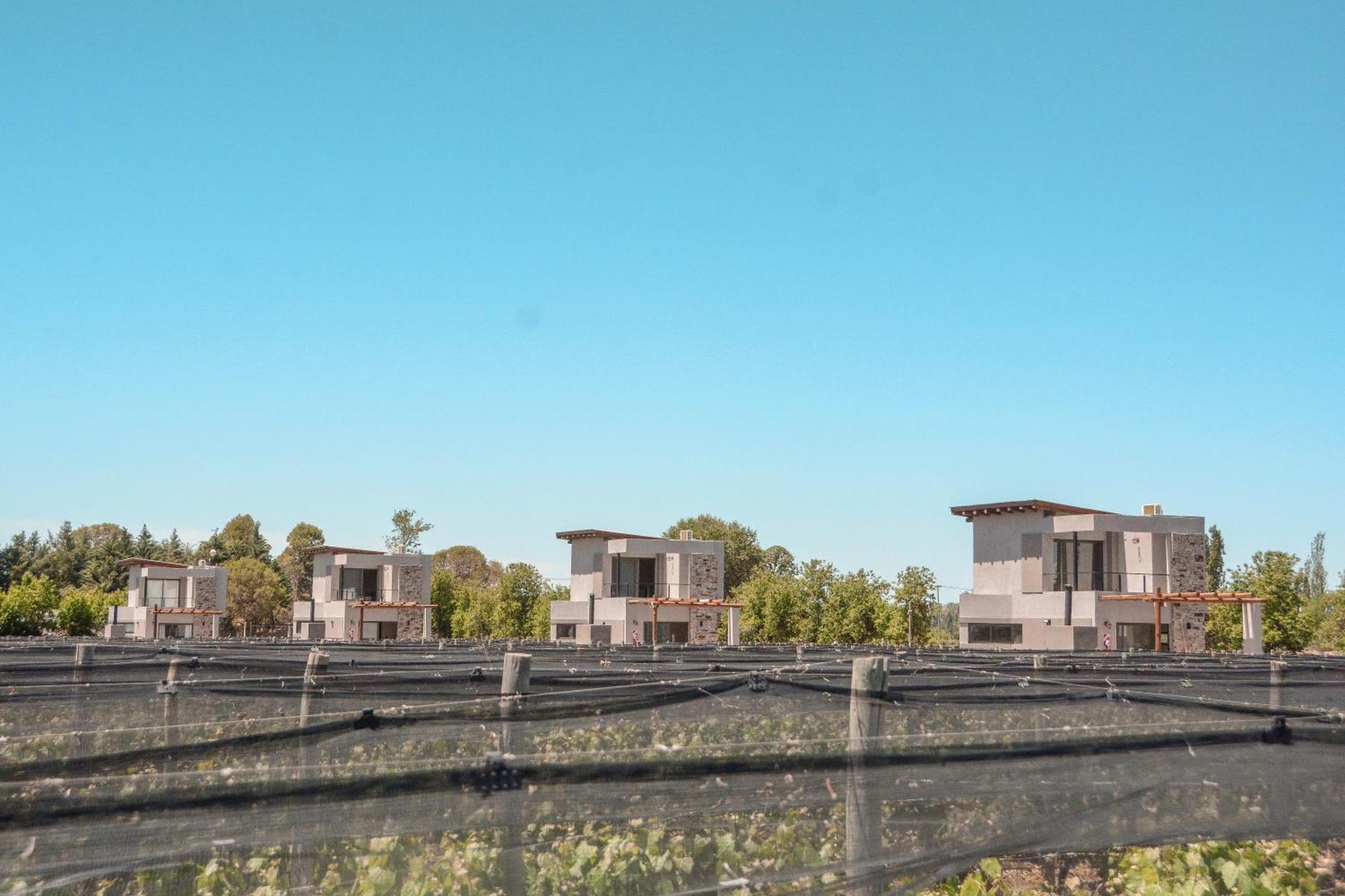 Agrelo Vines Lodge Kültér fotó