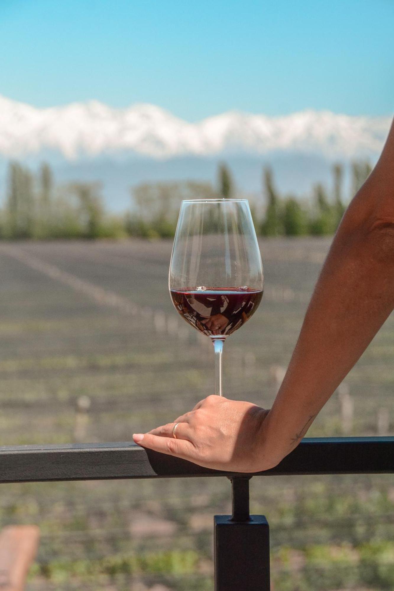 Agrelo Vines Lodge Kültér fotó