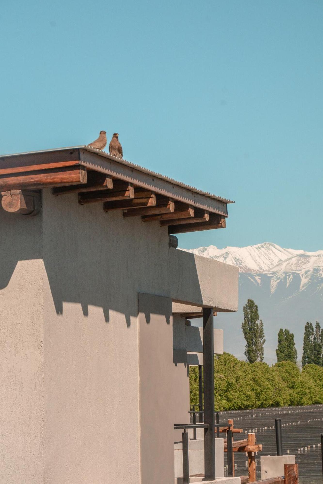 Agrelo Vines Lodge Kültér fotó