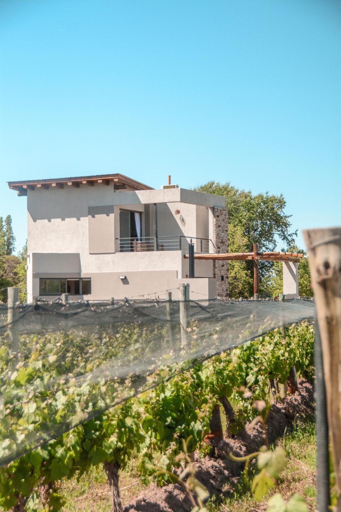 Agrelo Vines Lodge Kültér fotó