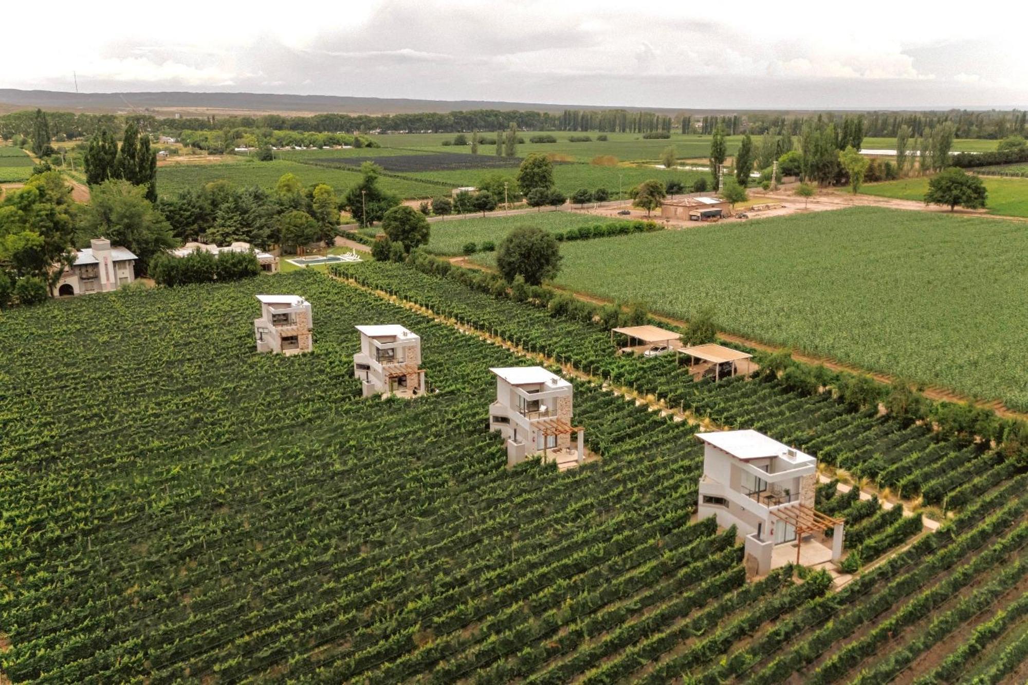 Agrelo Vines Lodge Kültér fotó